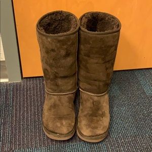 Tall Chocolate Brown Uggs